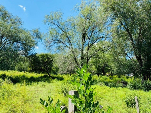 Venta De 6 Hectareas Sobre Ruta N5 En Villa General Belgrano - Inv0066