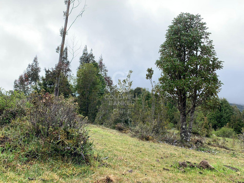 Cercana A RÃo, Orilla De Camino.