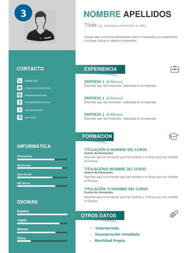 Armado Cv | Curriculum Vitae Personalizado En 24 Horas