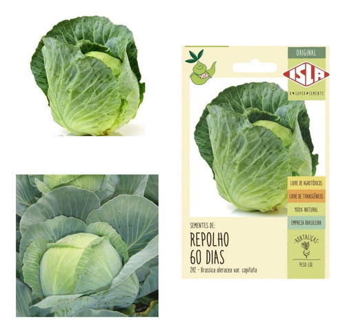 Semillas de col sin pesticidas, Isla Sementes, sin transgénicos, empresa brasileña multilínea, unidad de verduras de 1 x 1 de 1,6 g