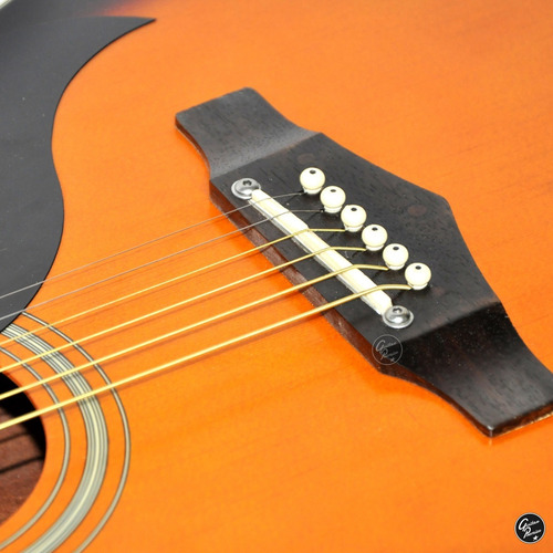 Guitarra Acustica Eko Ranger Vr Vi Profesional + Funda + Pua