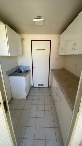 Arriendo Borinquen Viña Alto (81992)