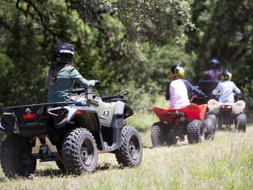 Imagen 8 de 15 de Canam Ds 90 Cuatri 0km No Yamaha Honda Motomel Usd