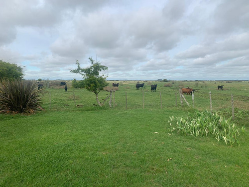 Imagen 6 de 12 de Campo En Venta En Punta Indio - Dacal Bienes Raices
