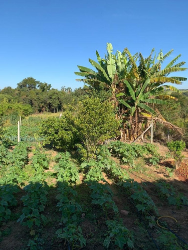 Imagem 9 de 19 de Chácara 6000m2, Casa Sede Com 220m2, 3 Dormitórios, 2 Banheiros, 3 Vagas Cobertas, Varanda, Área Gourmet, Cozinha Americana, Ótima Localização - Ch00290 - 71043879