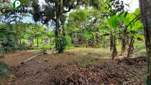 Imagem 5 de 25 de Ótimo Terreno Com 1.150,00 M² No Jardim Candairó - Cananéia - Litoral Sul De Sp - Te00087 - 70424942