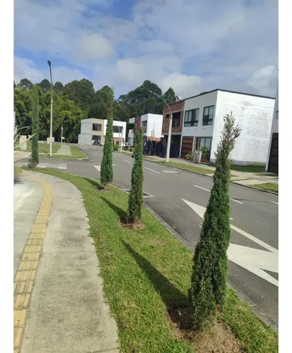 Lote En Venta Llanogrande, Rionegro