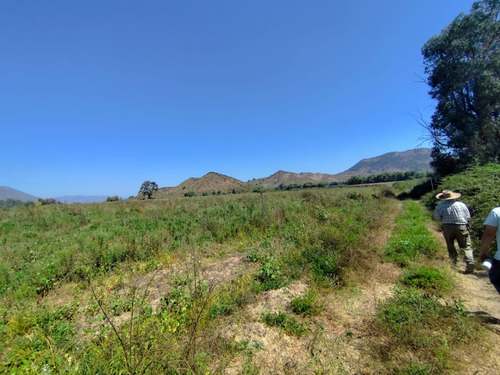 Arriendo Anual - 44 Ha Terreno Agrícola Cultivo Siembra