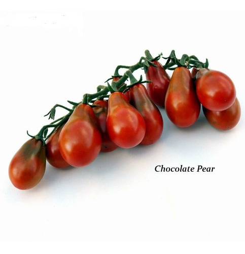 Sementes De Tomate Chocolate Pear - Pera Chocolate Cherry 