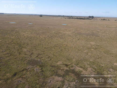 Imagen 9 de 27 de Campo De 600 Has En Venta En Gualeguaychu - Muy Buen Campo Ganadero De 0,7 Ev/ha Con Casco