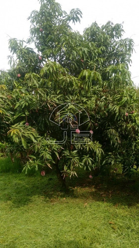 Imagem 6 de 6 de Chácara À Venda Em Loteamento Chácaras Gargantilhas - Ch008047