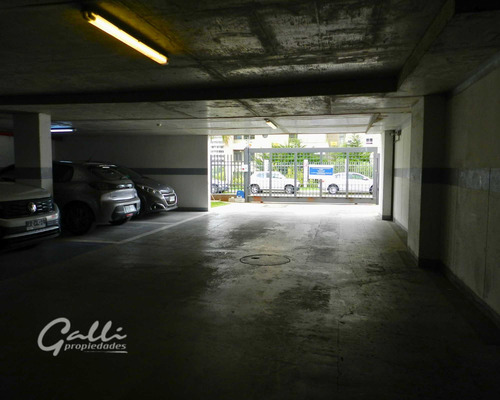 Estacionamiento Los Pellines/los Olivillos (92119)