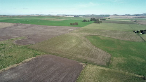 Imagen 21 de 28 de Campo 39 Has. Agrícolas Con Mejoras - Zona Dos Naciones