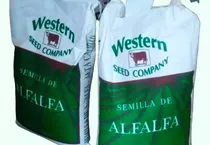 Comprar Semilla De Alfalfa San Miguelito Peletizada 2 Sacos 20 Kg Cu
