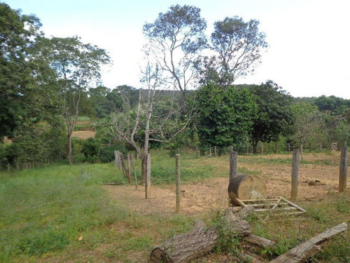 Imagem 18 de 30 de Chacara Com 2 Alqueire - Casa Com Laje, Barragem Chacaras Brito, Luziania - Meuimo562 - 71128673
