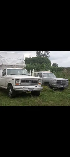 Ford F 350 1982 302