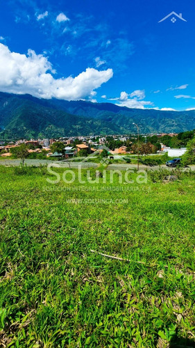 Imagen 8 de 10 de Terreno, Av. Los Próceres