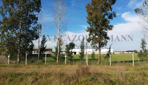 Imagen 3 de 5 de Galpón En Venta - Parque Industrial