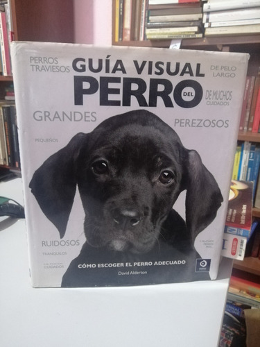 Guia Visual Del Perro Como Escoger El Perro Adecuado 