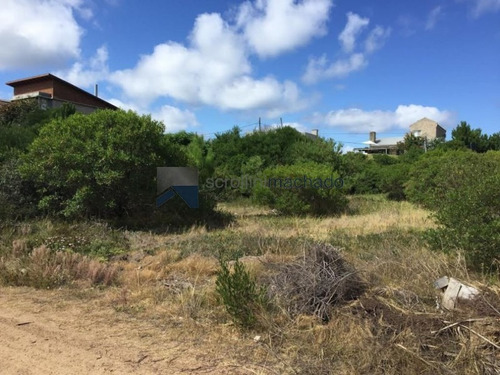Imagen 6 de 6 de Terreno En Venta Punta Ballena -ref:176
