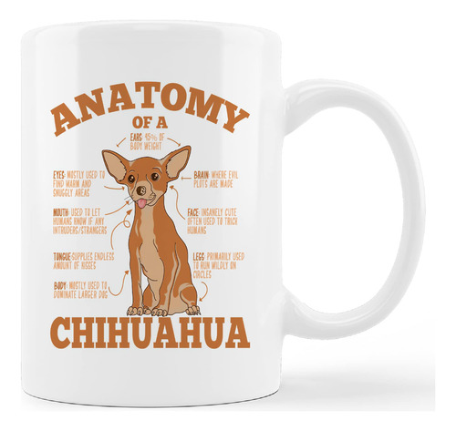 Kunlisa Taza Divertida De Chihuahua, Taza De Ceramica Anatom