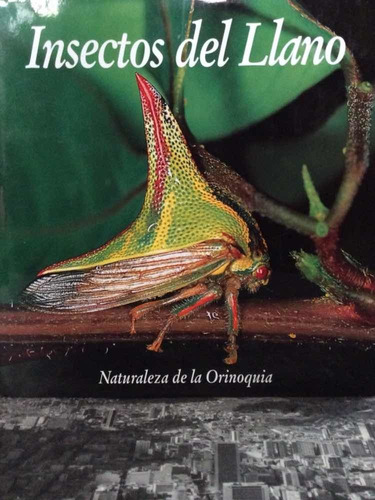 Insectos Del Llano - Naturaleza De La Orinoquia