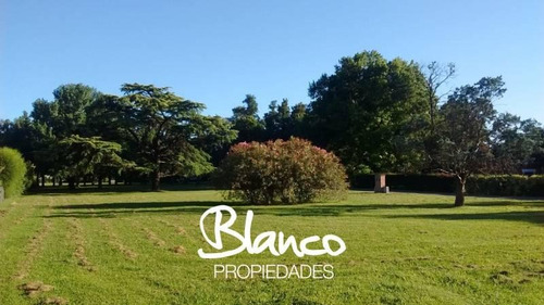 Imagen 4 de 9 de Oportunidad ! Inmejorable Acceso ! Lote Central En Barrio La Otilia - Pilar