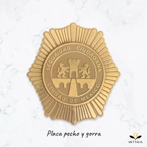 Placa Policía De La Ciudad De México