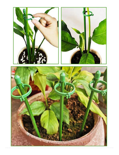 Estacas Ajustables Para Soporte De Plantas De Un Solo Tallo