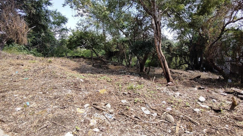 Imagen 5 de 23 de Terreno Venta Fraccionamiento Club De Golf Sta. Fe. M7 L1