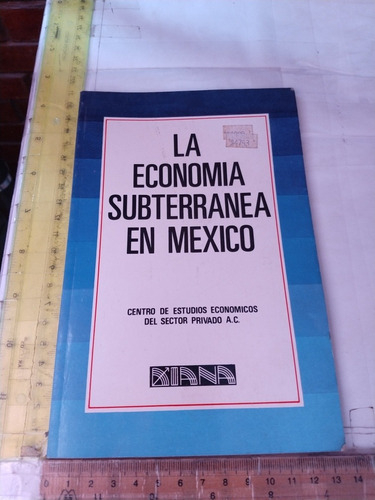 La Economía Subterranea En Mexico Ceesp Ed Diana
