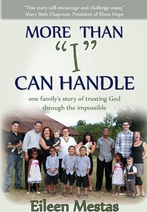 Libro More Than I Can Handle - Eileen Mestas