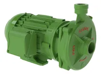 Comprar Motobomba Centrífuga Rotor Inox Fgx-300 3cv I P 55 Weg Famac Cor Preto-verde Fase Elétrica Monofásica Frequência 60hz 110v\u002F220v Monofásica