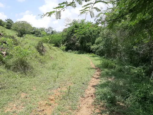 Finca De 25 Hec A 15 Minutos De Luruaco