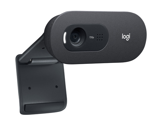 Imagen 3 de 3 de Cámara web Logitech C505e HD 30FPS color negro
