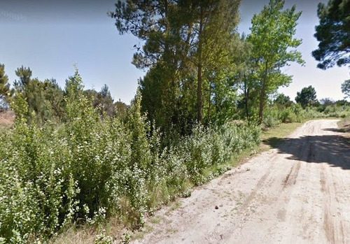 Imagen 4 de 6 de Lote En Venta De 12582m2 Ubicado En Las Gaviotas