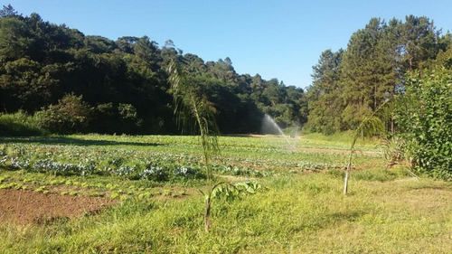 Imagem 2 de 30 de Chácara À Venda, 3 Quartos, Capelinha - Guarulhos/sp - 639