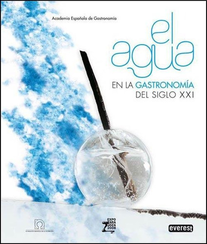 EL AGUA EN LA GASTRONOMIA DEL SIGLO XXI/ PD., de Ansón, Rafael. Editorial Everest, tapa dura en español