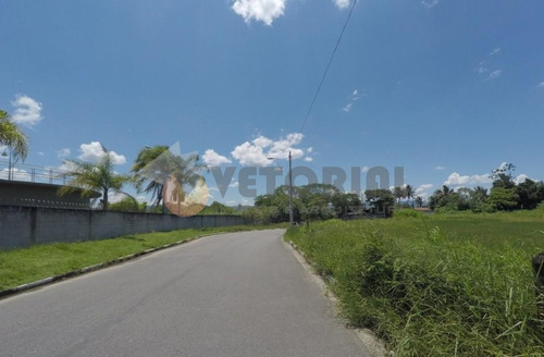 Imagem 7 de 8 de Terreno, 4000 M² - Venda Por R$ 1.400.000,00 Ou Aluguel Por R$ 3.000,00/mês - Barranco Alto - Caraguatatuba/sp - Te0053