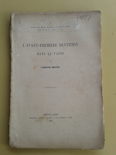 Ameghino L'avant Premiere Dentition Dans Le Tapir 1909