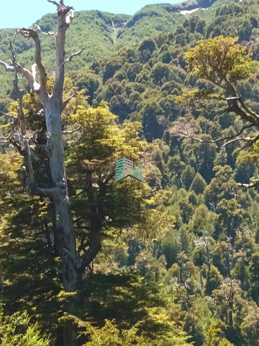 Hermosa Parcela En Los Refugios De Coñaripe