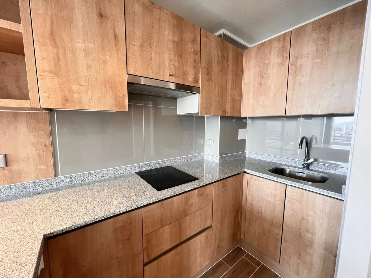 Imagen 3 de 9 de Arriendo En Manuel Rodriguez