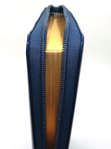 Imagen 4 de 8 de Biblia Estuche Azul Y Dorada Letra Grande Reina Valera 1960