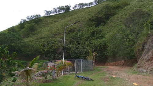 Imagen 10 de 21 de Vendo Finca Ganadera En Balboa Risaralda