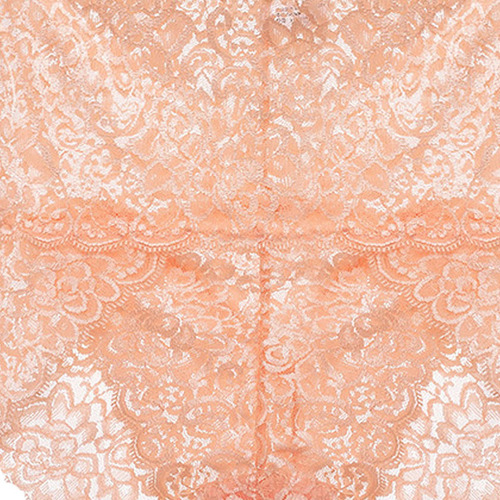 Calzoncillos De Encaje Transparente Para Mujer G, Cintura Me
