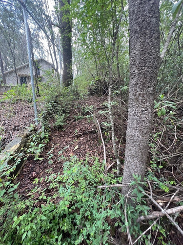 Vendo Terreno Plano Espíritu Santo, Colinda Con Río Cod. Vte764