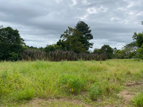 Chácara 2.500 M² - Morungava - Gravataí - Rs - 2499 - 69232388