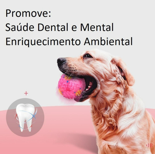 Kit 3 Bola Interativa Brinquedo Cães Com Som Porta Petisco