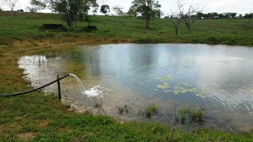 Imagen 4 de 16 de Venta Finca En Yaracal Estado Falcón