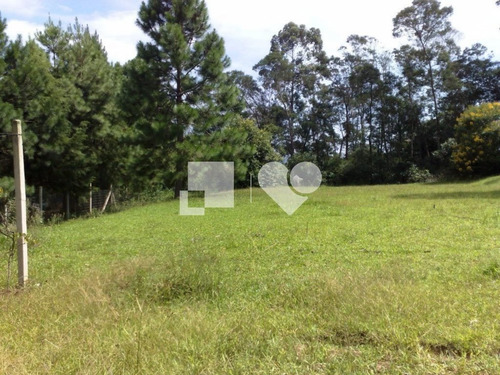 Imagem 8 de 15 de Area - Lomba Do Pinheiro - Ref: 32193 - V-53780541